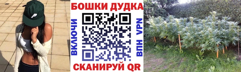 Магазины продажи наркотиков Абакан kraken онион  Меф мяу мяу  Гашиш  Амфетамин  Cocaine  Конопля  A PVP 