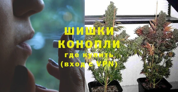 PSILOCYBIN Балахна