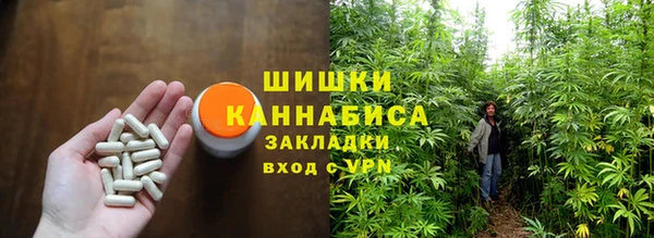 PSILOCYBIN Балахна