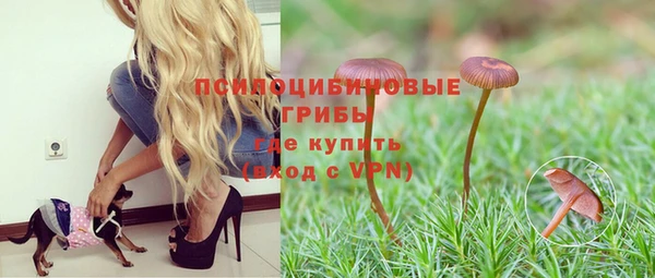 apvp Баксан