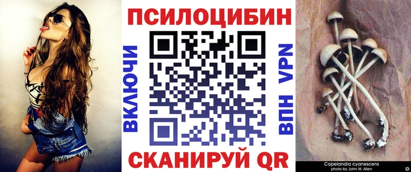 Псилоцибиновые грибы Psilocybine cubensis  где можно купить   Абакан 